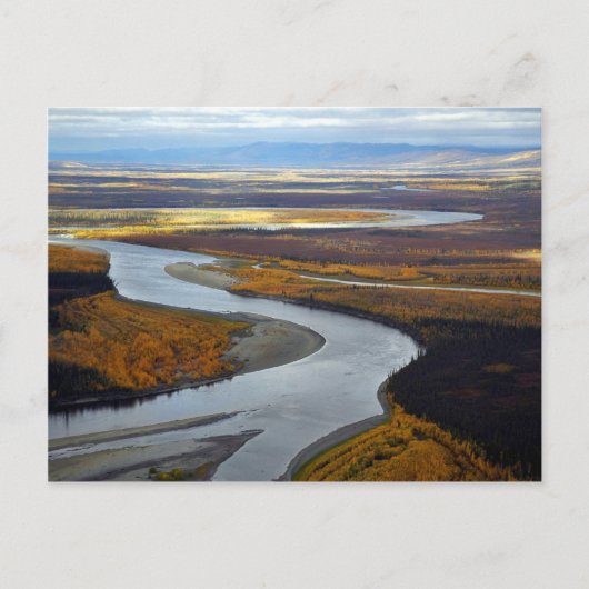 Koyukuk Briefkaart (Voorkant)