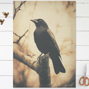 Kraai Decoupage in Vintage Stijl Tissuepapier