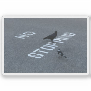 Kraai en ekster sticker