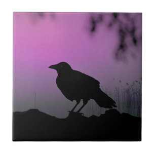 kraai in Natuur silhouet Tegeltje
