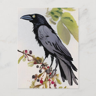 Kraai Kunstkaart Briefkaart