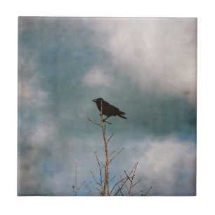  kraai op een boom tegeltje