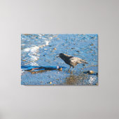 Kraai op Mutiny Bay Canvas Afdruk (Voorkant)
