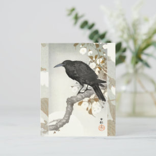 Kraai Raven Koson Japanse Vogel Kraai