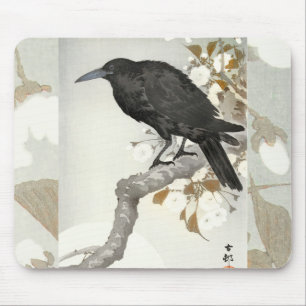 Kraai Raven Koson Japanse Vogel Kraai Muismat