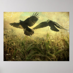 Kraaien van de Korn Poster