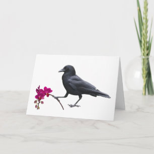 kraakorchideeënKaart Kaart