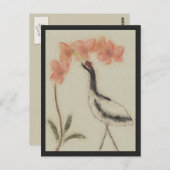 Kraan en orchidee Briefkaart (Voorkant / Achterkant)