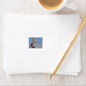 kraan etiket (Insitu)