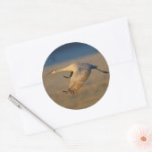 kraan ronde sticker (Envelop)