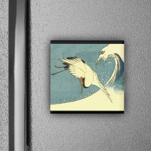 Kraan Vliegen in een Wave Magnet Magneet