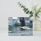 Kraanvisserij Briefkaart (Staand voorkant)