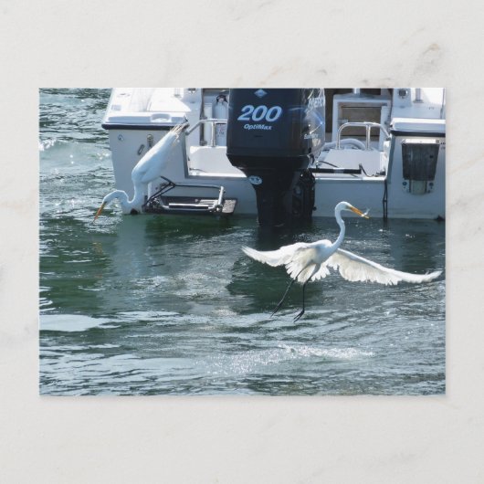 Kraanvisserij Briefkaart (Voorkant)