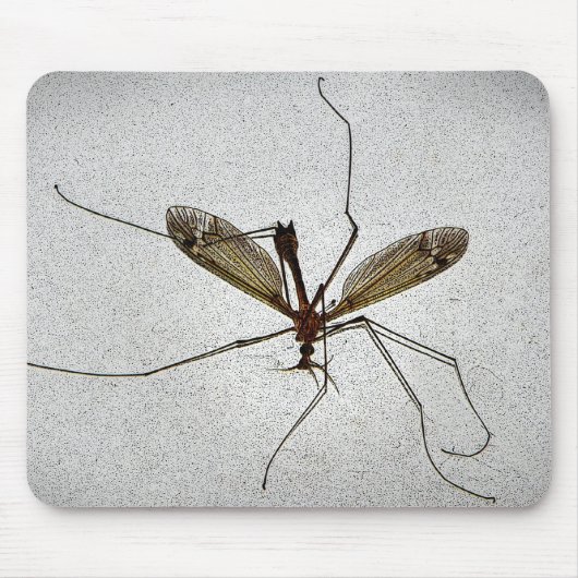 Kraanvlieg Insect Mousepad Muismat (Voorkant)