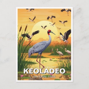 Kraanvogel in Keoladeo Nationaal Park India Reizen Briefkaart
