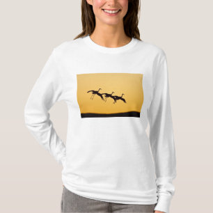 Kraanvogel landt bij zonsondergang t-shirt
