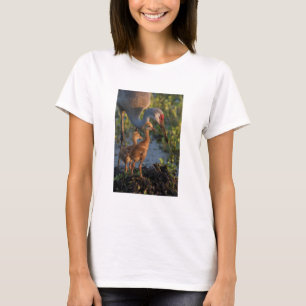 Kraanvogel met kuikens, Florida T-shirt