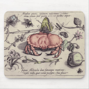 Krab Botanische Insect Bloem Illustratie Muismat