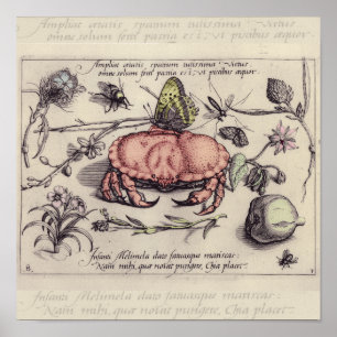 Krab Botanische Insect Bloem Illustratie Poster