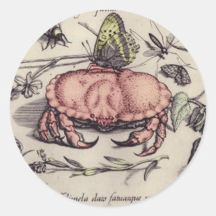 Krab Botanische Insect Bloem Illustratie Ronde Sticker