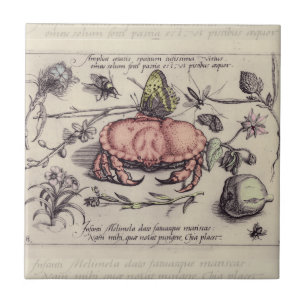 Krab Botanische Insect Bloem Illustratie Tegeltje