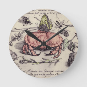 Krab Botanische Insecten Bloem Illustratie Ronde Klok