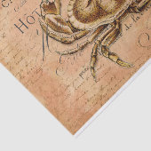  krab Frans Briefkaart ontkoppeling Tissuepapier (Detail)