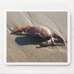 Krab, Het Strand van de Kustwacht Muismat