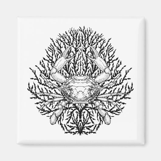 krab magneet (Voorkant)