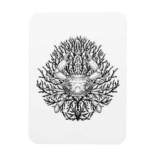 krab magneet (Verticaal)