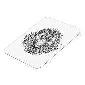 krab magneet (Linkerzijde)