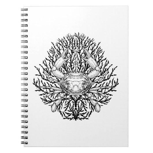 krab notitieboek (Voorkant)
