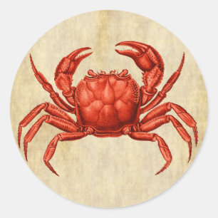 krab ontwerp ronde sticker
