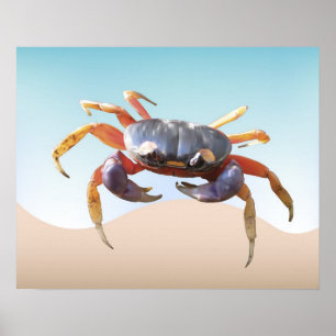 Krab op de strand poster