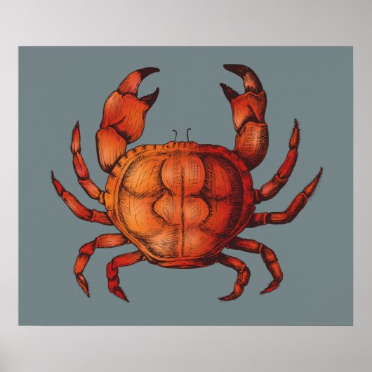 krab poster (Voorkant)
