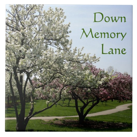 Krabappelbomen Tegeltje (Voorkant)