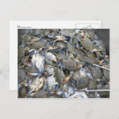 Krabben Briefkaart (Voorkant / Achterkant)