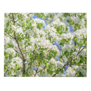 Krabbenappelbloesem Notitieblok