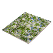 Krabbenappelbloesem Tegeltje (Zijkant)