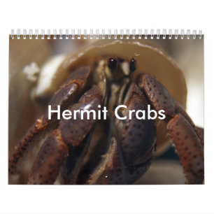krabby, Hermit Crabs Kalender