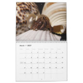 krabby, Hermit Crabs Kalender (Mar 2027)