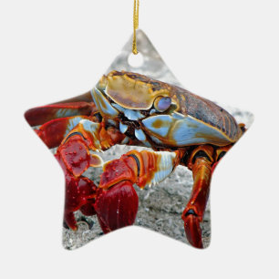 Krabfoto Keramisch Ornament