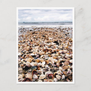 Krabi Thailand Zeeschelpen op de Seashore Postca Briefkaart