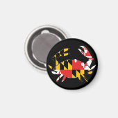 krabmagneet magneet (Voorkant / Achterkant)