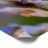 Krabspinetende bijen folie vakantie poster (Hoek)