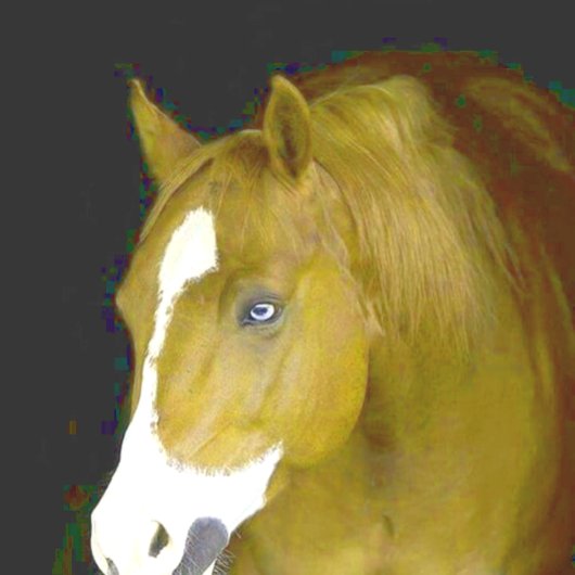 kracht en gratie notitieboek