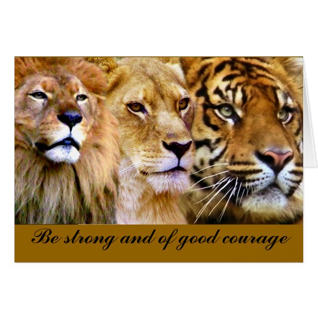 Kracht en kracht_ (Voorkant Horizontaal)