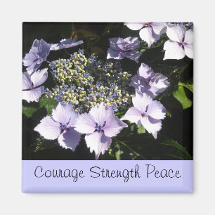 Kracht - Mauve Hydrangea's Magneet
