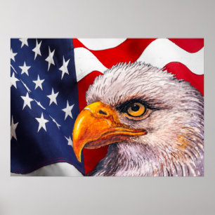 Krachtig Poster Bald Eagle