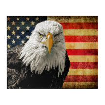Krachtige USA Eagle
